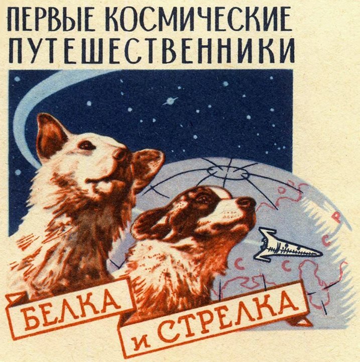 936091_688885667833033_6780257688081088062_n