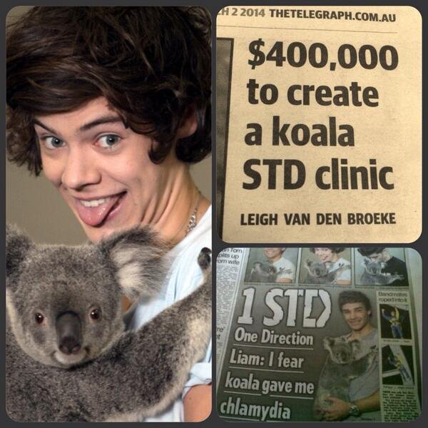 View image on Twitter