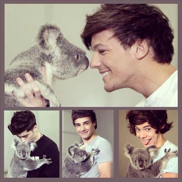 View image on Twitter