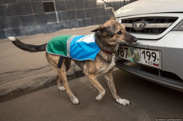 Фото: Илья Варламов