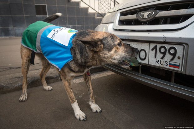 Фото: Илья Варламов