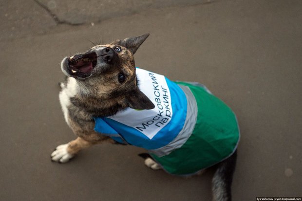 Фото: Илья Варламов