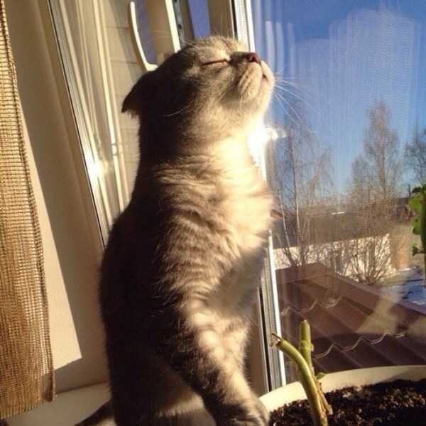 watching-the-solar-eclipse-8