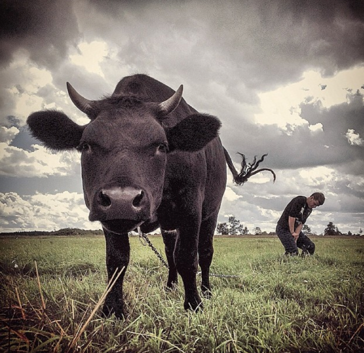 Getty-images-grant-1