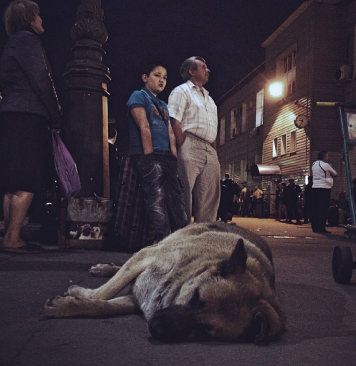 Getty-images-grant-12